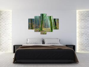 Obraz lesa (150x105 cm)