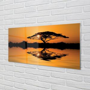 Obraz na skle Sunset tree 120x60 cm 2 Prívesky
