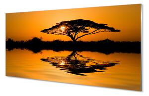 Obraz na skle Sunset tree 140x70 cm 4 Prívesky