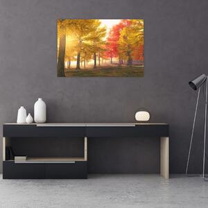 Obraz jesenných stromov (90x60 cm)