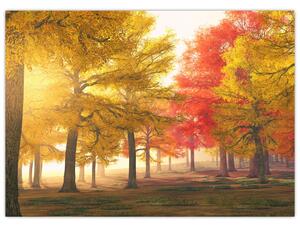 Obraz jesenných stromov (70x50 cm)