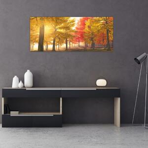 Obraz jesenných stromov (120x50 cm)