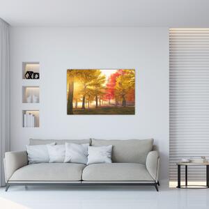 Obraz jesenných stromov (90x60 cm)