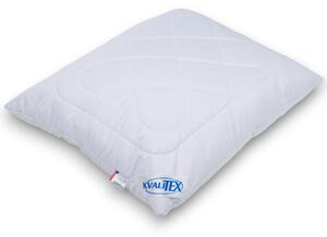 Kvalitex Vankúš Aloe Vera Alaska zips, 70 x 90 cm