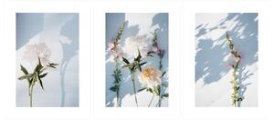 Gario Sada plagátov Jesenné kvety - 3 dielna Farba rámu: Zlatá, Veľkosť: 99 x 45 cm