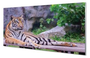 Sklenený obraz Tiger v zoo 100x50 cm 2 Prívesky