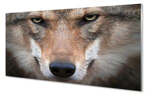 Sklenený obraz wolf Eyes 100x50 cm 2 Prívesky
