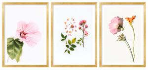 Gario Sada plagátov Kompozícia kvetov - 3 dielna Farba rámu: Bez rámu, Veľkosť: 99 x 45 cm