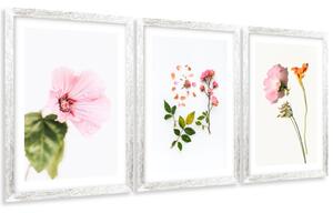Gario Sada plagátov Kompozícia kvetov - 3 dielna Farba rámu: Rustikálna, Veľkosť: 99 x 45 cm