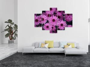 Obraz ružových kvetov (150x105 cm)