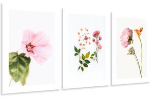 Gario Sada plagátov Kompozícia kvetov - 3 dielna Farba rámu: Bez rámu, Veľkosť: 99 x 45 cm