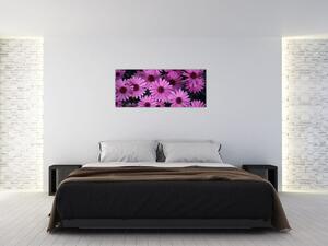Obraz ružových kvetov (120x50 cm)