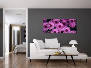 Obraz ružových kvetov (120x50 cm)
