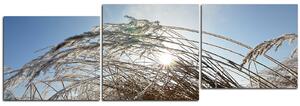 Obraz na plátne - Zimné ráno - panoráma 545D (150x50 cm)