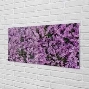 Nástenný panel  fialové kvety 100x50 cm