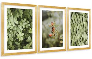 Gario Sada plagátov Listy a rosa - 3 dielna Farba rámu: Zlatá, Veľkosť: 99 x 45 cm