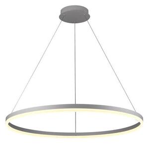 Brilagi - LED stmievateľný luster na lanku CIRCLE LED/55W/230V 3000-6500K strieborný + DO