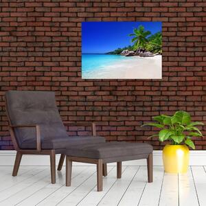 Obraz pláže na Praslin ostrove (70x50 cm)
