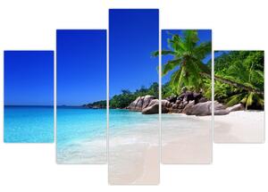Obraz pláže na Praslin ostrove (150x105 cm)