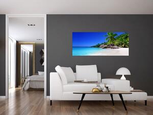 Obraz pláže na Praslin ostrove (120x50 cm)