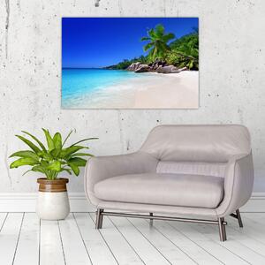 Obraz pláže na Praslin ostrove (90x60 cm)