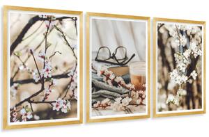 Gario Sada plagátov Ovocné stromy - 3 dielna Farba rámu: Rustikálna, Veľkosť: 135 x 63 cm