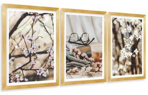 Gario Sada plagátov Ovocné stromy - 3 dielna Farba rámu: Zlatá, Veľkosť: 99 x 45 cm