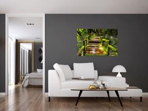 Obraz schodov v dažďovom pralese (90x60 cm)