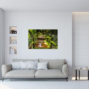 Obraz schodov v dažďovom pralese (90x60 cm)