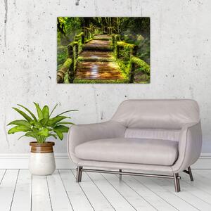Obraz schodov v dažďovom pralese (70x50 cm)
