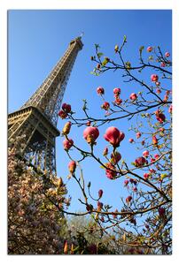 Obraz na plátne - Eiffelova veža v jarnom období - obdĺžnik 734A (60x40 cm)