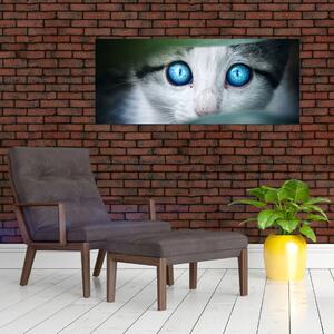 Obraz mačky (120x50 cm)