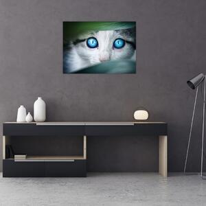 Obraz mačky (70x50 cm)
