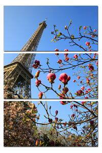 Obraz na plátne - Eiffelova veža v jarnom období - obdĺžnik 734B (90x60 cm )