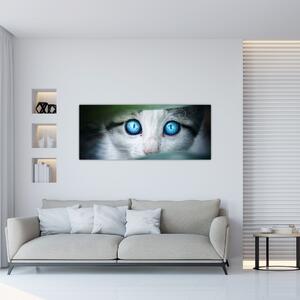Obraz mačky (120x50 cm)
