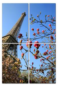 Obraz na plátne - Eiffelova veža v jarnom období - obdĺžnik 734D (90x60 cm)