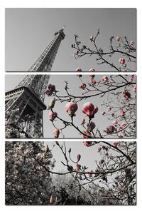 Obraz na plátne - Eiffelova veža v jarnom období - obdĺžnik 734ČB (90x60 cm )