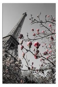 Obraz na plátne - Eiffelova veža v jarnom období - obdĺžnik 734ČA (60x40 cm)