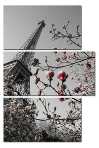 Obraz na plátne - Eiffelova veža v jarnom období - obdĺžnik 734ČC (120x80 cm)
