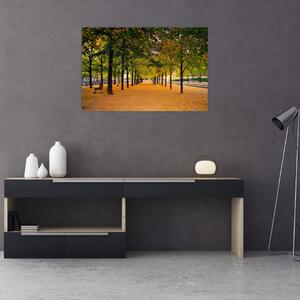 Obraz aleje jesenných stromov (90x60 cm)