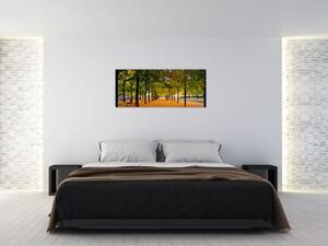 Obraz aleje jesenných stromov (120x50 cm)