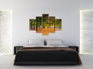 Obraz aleje jesenných stromov (150x105 cm)