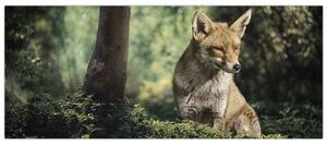 Obraz líšky (120x50 cm)