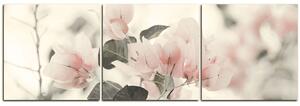Obraz na plátne - Papierové kvety - panoráma 557FB (90x30 cm)