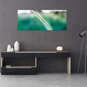 Obraz steblá trávy (120x50 cm)