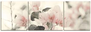 Obraz na plátne - Papierové kvety - panoráma 557FC (120x40 cm)