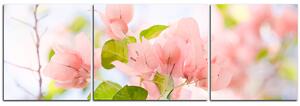 Obraz na plátne - Papierové kvety - panoráma 557C (150x50 cm)