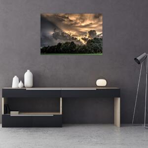 Obraz mračien a lesa (90x60 cm)