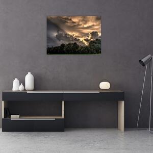 Obraz mračien a lesa (70x50 cm)