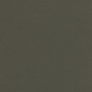 FORBO Marmoleum solid walton Peat 3376 - 2 bm